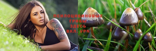 прущие крисы Алексеевка